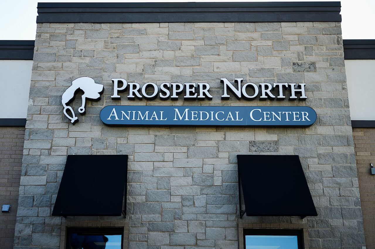 Practice Exterior Image