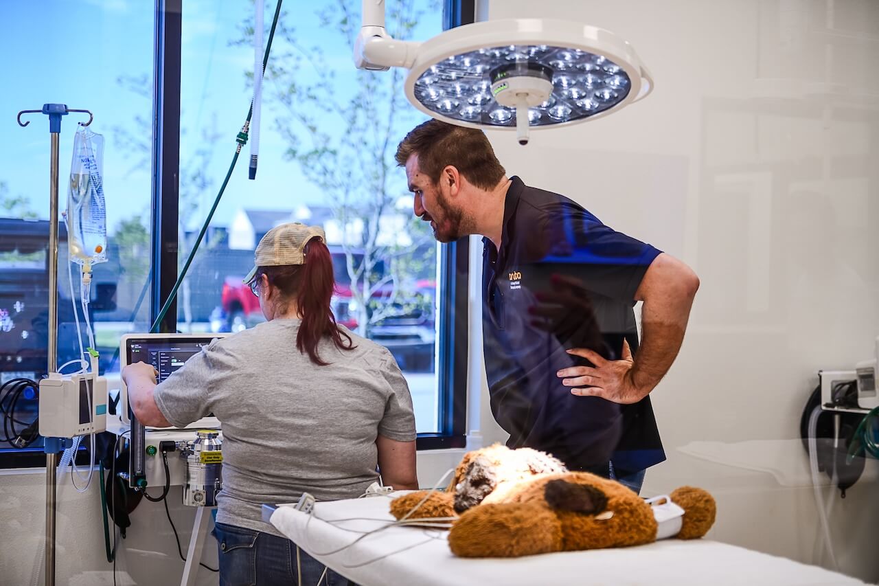 Prosper North Animal Medical Center - Prosper, TX 23
