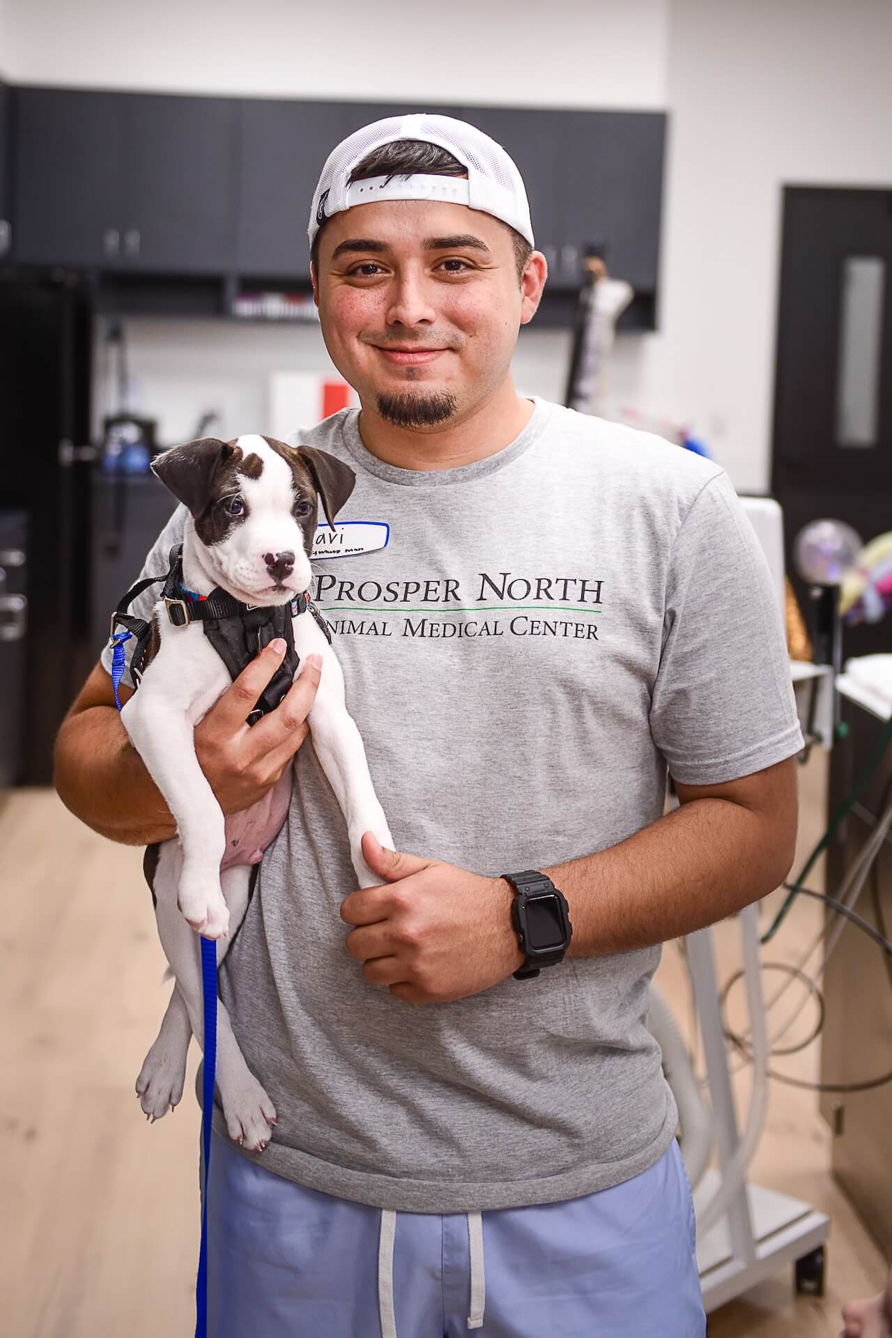 Prosper North Animal Medical Center - Prosper, TX 28