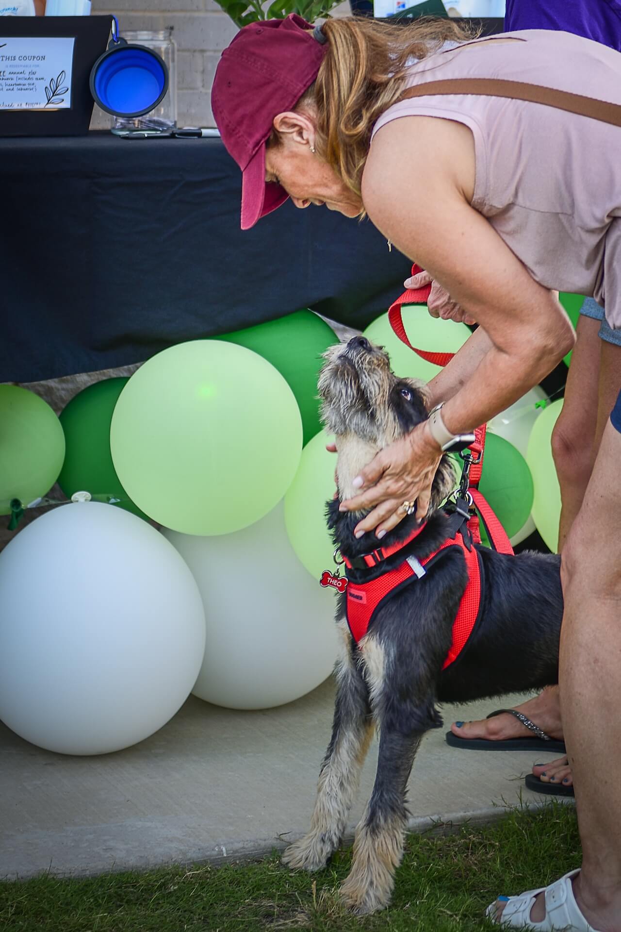 Prosper North Animal Medical Center - Prosper, TX 43