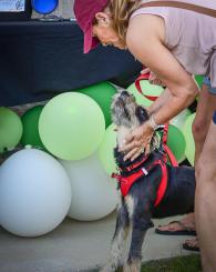 Prosper North Animal Medical Center - Prosper, TX 43