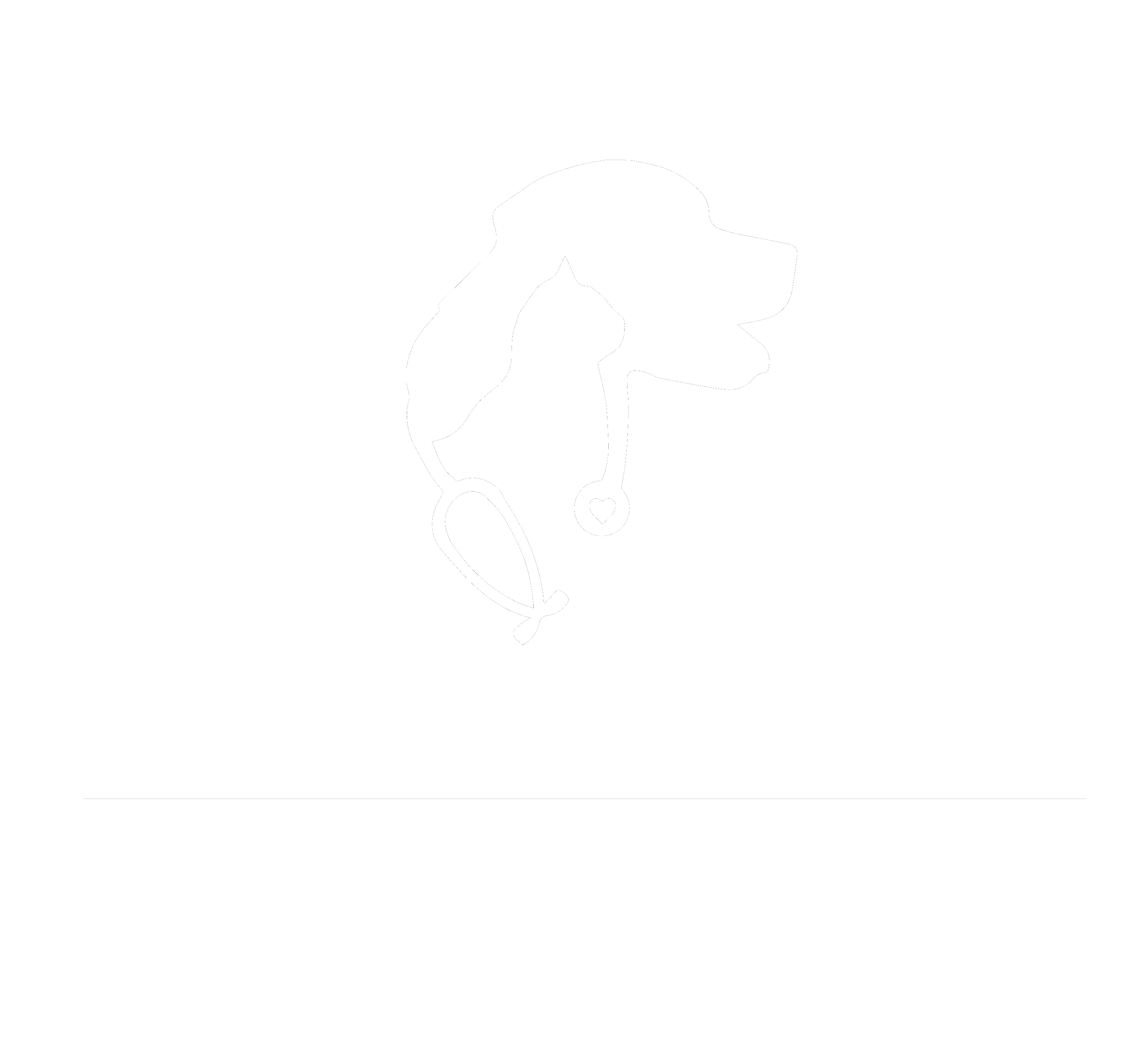 Prosper North Animal Medical Center