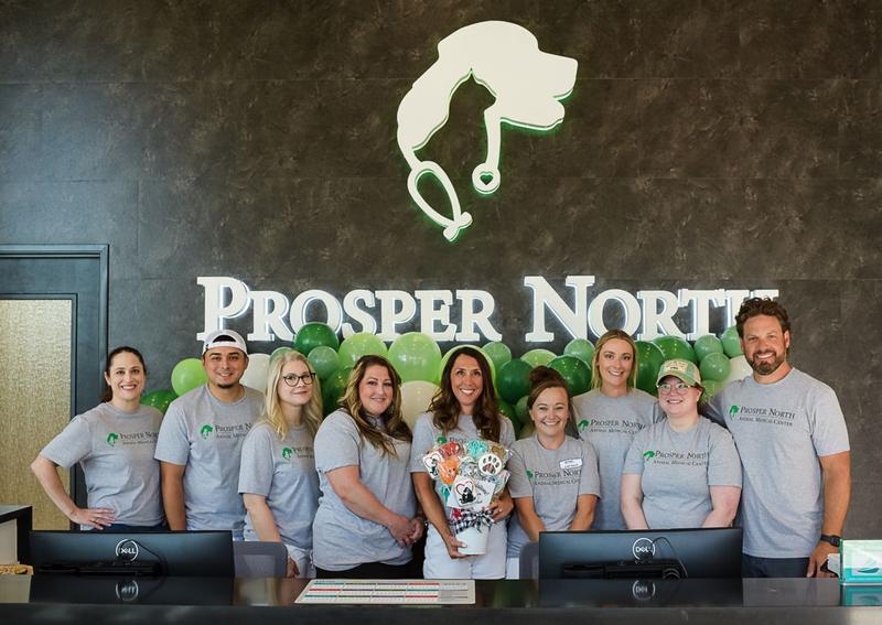 Carousel Slide 3: Prosper North Animal Medical Center Team